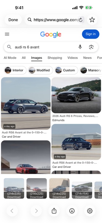 Secret Vault built-in browser with image download buttons